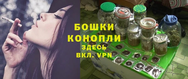 шишки Богородицк